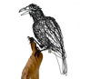 Colleen Cotey wire sculpture